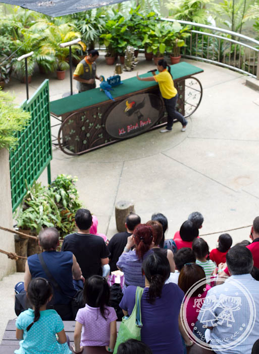 KL Bird Park - Bird show